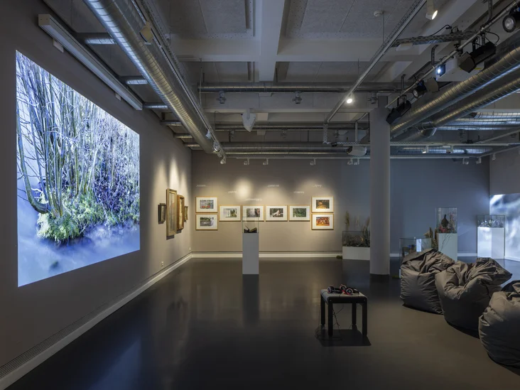 Blick in den Ausstellungsraum: Die Wände und der Boden sind in Grau gehalten. Ein Stützpfeiler ist mittig im Raum zu sehen. Auf die linke Wand wird mittig ein Film projiziert. Davor befinden sich rechts im Bild graue Sitzsäcke. Auf der Stirnwand erkennt man acht Fotografien. Rechts hinten wird ein weiterer Film projiziert. Dirt befinden sich auch Vitrinen auf Sockel. Nur schwer erkannt man ausgestopfte Vögel und Trockenblumen in den Vitrinen.