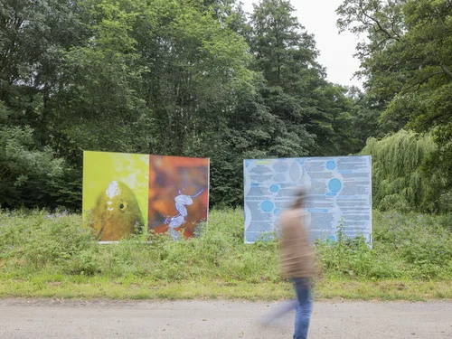 The image depicts a person walking past two large boards in a green, wooded environment; one board displays colorful, abstract images, and the other contains text and graphics.