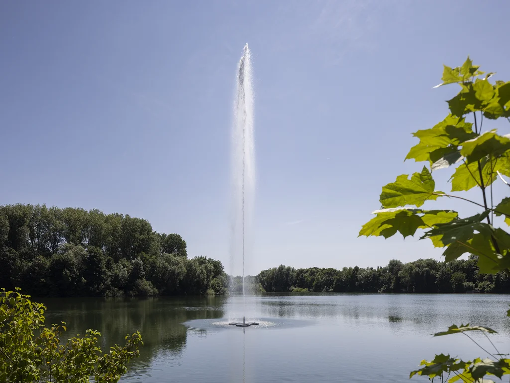 Das Bild zeigt einen hohen Wasserstrahl, der aus einem See in den klaren blauen Himmel aufsteigt, umgeben von grünen Bäumen und Büschen am Ufer.