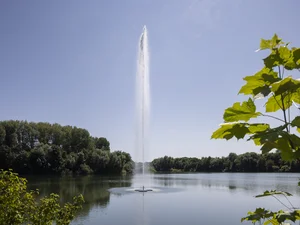 Das Bild zeigt einen hohen Wasserstrahl, der aus einem See in den klaren blauen Himmel aufsteigt, umgeben von grünen Bäumen und Büschen am Ufer.