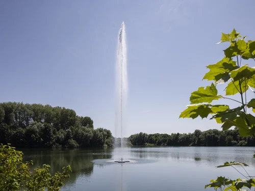 The image depicts a tall jet of water rising from a lake into the clear blue sky, surrounded by green trees and bushes along the shore.