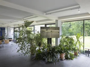Im lichtdurchfluteten Raum des Westfalenkollegs stehen zahlreiche grüne Zimmerpflanzen, mittendrin ein Bildschirm mit einem Videostill von Pallavi Pauls Videoarbeit. Im Hintergrund befinden sich Tische und Stühle in einem offenen, modernen Innenbereich.