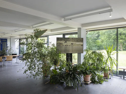 In the light-flooded room of the Westfalenkolleg, there are numerous green houseplants, in the middle of which is a screen with a video still of Pallavi Paul's video work. In the background are tables and chairs in an open, modern interior.